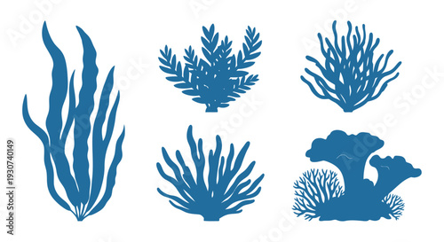 Blue underwater plants and coral formations in a graphic silhouette