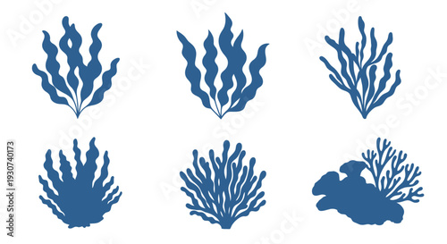 Blue seaweed arrangements in a minimalist design a striking silhouette