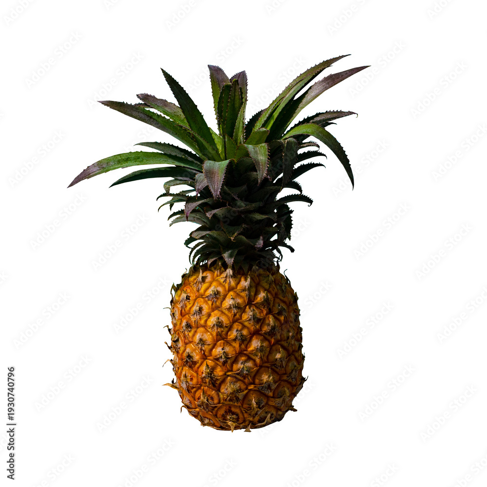 Fototapeta premium pineapple isolated on white background