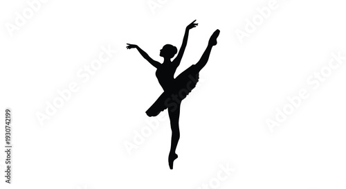 A graceful ballet dancer is captured mid leap in a dynamic pose defined by a striking black silhouette high quality professional detailed