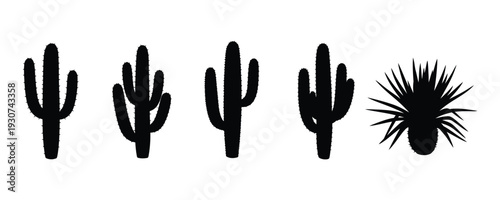 Silhouettes of various cacti and succulents on a white background