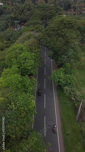 Aerial drone view of road passing through tropical landscape with palm trees in Sri Lanka. Scenic top down shot of travel route surrounded by green nature and island environment