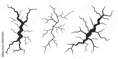 Three distinct tree branches with intricate patterns and varying thicknesses.
