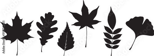Autumn Fall Season Foliage Silhouette Collection