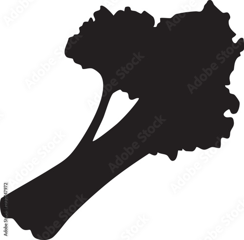 Black silhouette of a bone