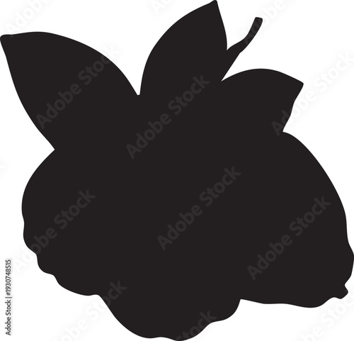 Black silhouette of a peach with leaves