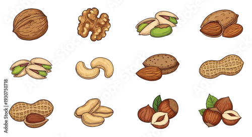 An assortment of various nuts including walnuts pistachios and peanuts