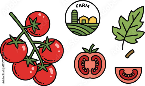 Fresh Red Tomatoes on Vine Vector Illustration Set with Sliced Tomato Half Farm Logo Badge and Green Leaf Icons in Flat Style