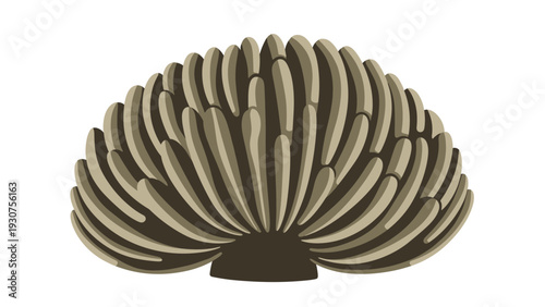 Group of brown underwater corals or sea anemones illustrated with elongated tentacles growing from a central base on the seabed.