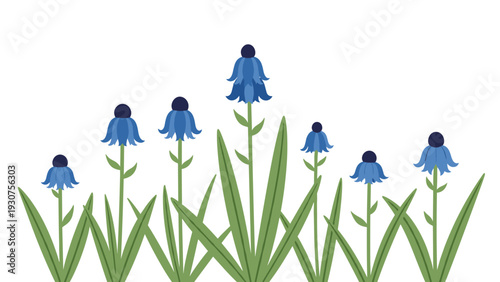 Row of beautiful blue coneflowers with long green leaves growing vertically against a plain white background for nature themes.