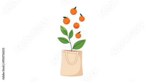 Creative illustration of a green leafy plant growing from a cream tote bag with five oranges floating above it.