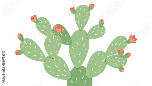 Prickly pear cactus with large green pads and orange blossoms on a white background in a soft textured illustration style.