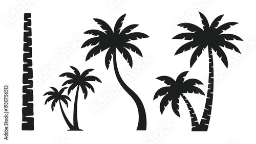 Vector set of black silhouettes of different palm tree species and a single patterned pole isolated on a white background.