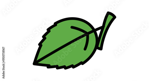 Green leaf illustration with stem.