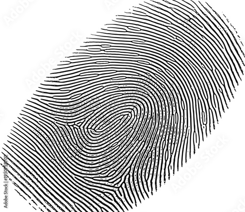 Black and white fingerprint vector illustration, biometric security identification scan, forensic evidence symbol, unique human identity, digital privacy, verification sign.