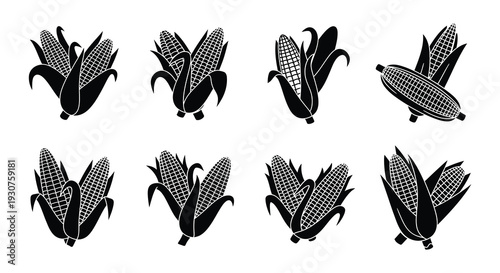 Collection of black and white corn cobs with husks displayed in various angles