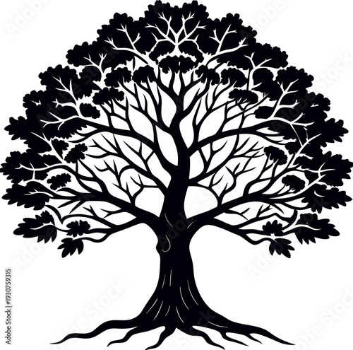 A majestic black and white illustration of a large, intricate tree with sprawling roots and branches