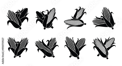 Collection of black and white corn cobs with husks displayed in various angles