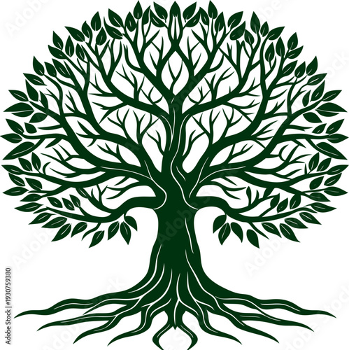 Ancient tree with sprawling roots and dense foliage standing alone against a plain background