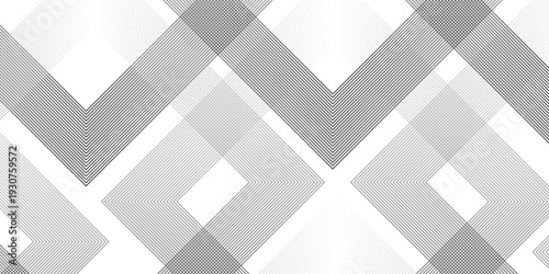 Geometric diagonal oblique vector curve gradient black and white graphic stripe line. Repeated fine diagonal lines Thin slash line stripes diagonal vector elegant background