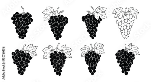 Illustrations of grape bunches in varying shades and arrangements