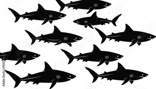 Silhouette collection of multiple sharks swimming in different directions isolated on white background, marine wildlife illustration for oceanography, education, conservation, a