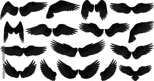 Black Bird Wings Silhouette Set, Flying Angel Wing Shapes Collection, Detailed Feather Vector Illustration Isolated on White Background for Logo Tattoo Design