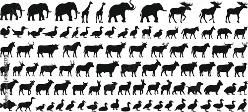 Comprehensive Farm and Wildlife Animal Silhouette Set, Livestock, Birds and Wild Mammals Vector Collection Isolated on White Background for Agriculture Nature Design