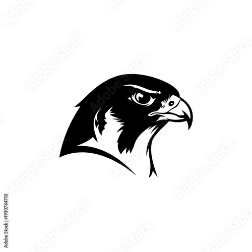 Black and white illustration of a bird of prey looking to the side