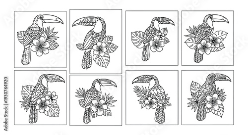 Detailed line art illustration of toucans perched with tropical hibiscus flowers