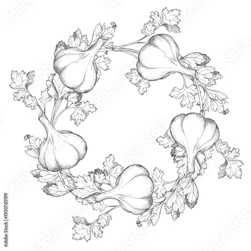 Wreath of the tomatoes, parsley, green onion and garlic. Vector ink styled handmade illustration. For packaging design, cards, cover, prints, product labels and fabric.