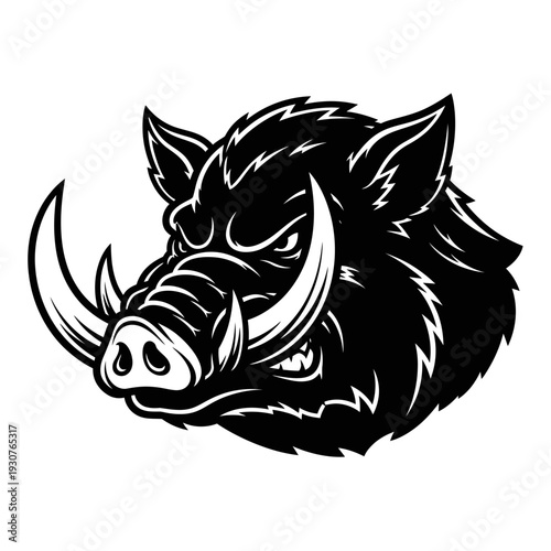 Bold black and white illustration of a wild boar with large tusks