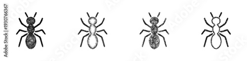 Sketch ant icon design set