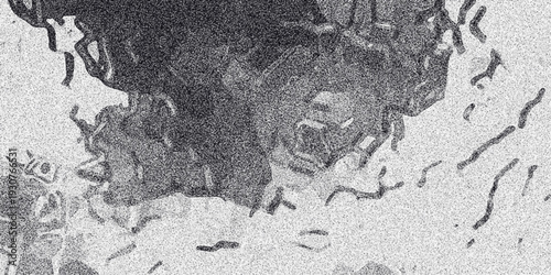 Close-up monochrome abstract texture with a prominent dark, irregular blob shape and surrounding speckled white noise, suggesting organic forms and a distressed surface for design