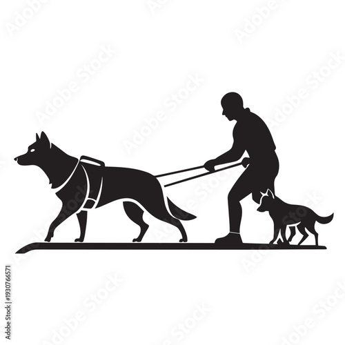 Man and two dogs silhouette pulling sled in snow winter sport activity outdoor adventure lifestyle with German shepherd dog and husky dog harnessed for pulling