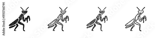 Sketch praying mantis icon design set