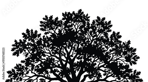 Majestic tree crown silhouette with detailed leaves for nature landscape and garden design