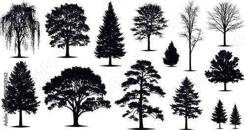 Set of Realistic Black Tree Silhouettes Including Pine Oak Maple and Willow Isolated on White Background for Landscape Design Nature Forest and Wood Environment Concept