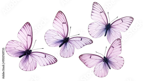 Delicate watercolor butterflies in varying positions, showcasing translucent wings, isolated on black