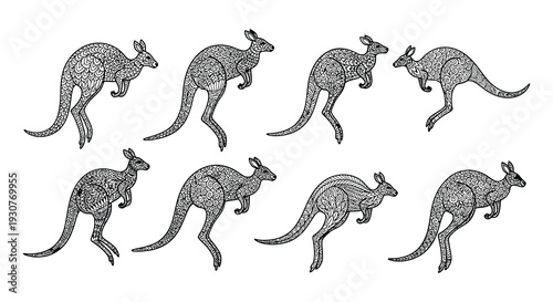Intricate kangaroo illustrations in a monochrome decorative style