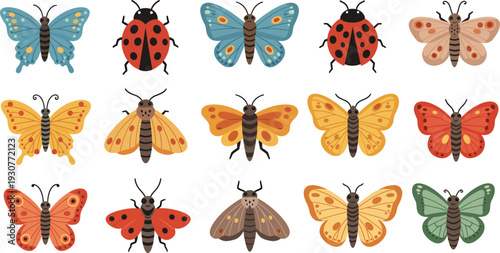 Collection of colorful butterflies and moths on white background