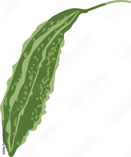 고무다라이에 담긴 천연 수세미 식물