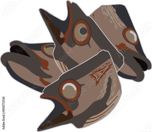 말린 생선대가리 육수용