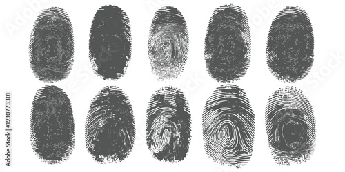 Collection of unique human fingerprints with gritty texture for forensic security and personal identity concept vector illustration design