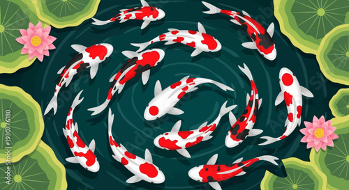 Vibrant Koi Fish Swimming Gracefully in a Pond.