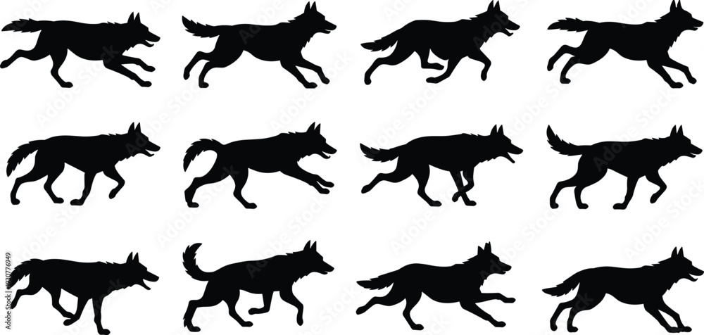 Fototapeta premium Wolf running cycle animation sequence, black silhouette silhouettes of wild dog canis lupus in various gallop poses, cad drawing flat vector illustration, isolated
