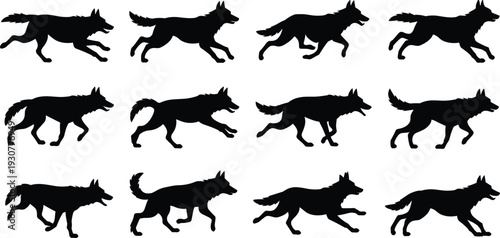 Wolf running cycle animation sequence, black silhouette silhouettes of wild dog canis lupus in various gallop poses, cad drawing flat vector illustration, isolated