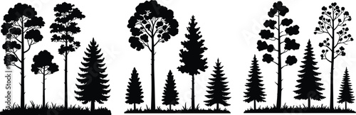 Forest tree silhouette collection with pine and deciduous trunks, black woodland landscape elements, nature set, cad drawing flat vector illustration, isolated