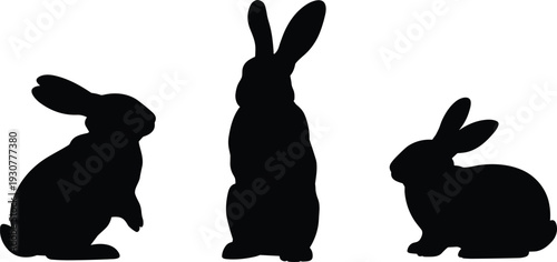 Rabbit silhouette collection with bunny sitting and standing poses, black hare icons, pet animal set, cad drawing flat vector illustration, isolated white