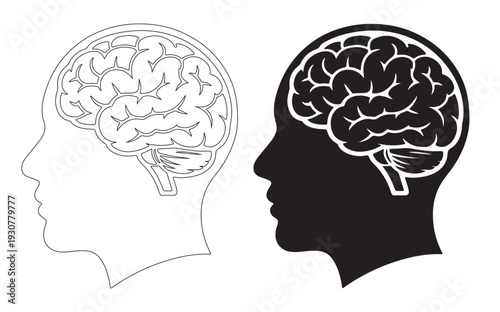 Human brain illustration side view showing detail and silhouette